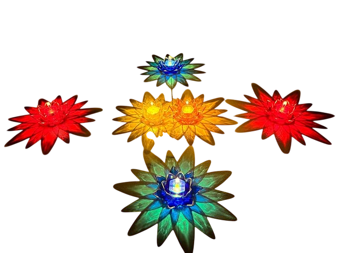 Lotus Reflection Diya(Pack of 12)